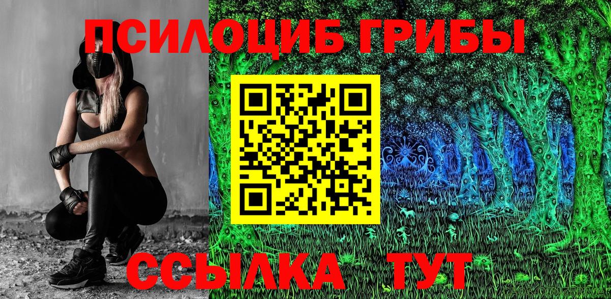 Новотроицк  Псилоцибиновые грибы прущие грибы  Вход с VPN 