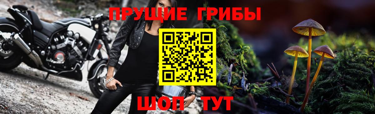 Галлюциногенные грибы ЛСД Новотроицк